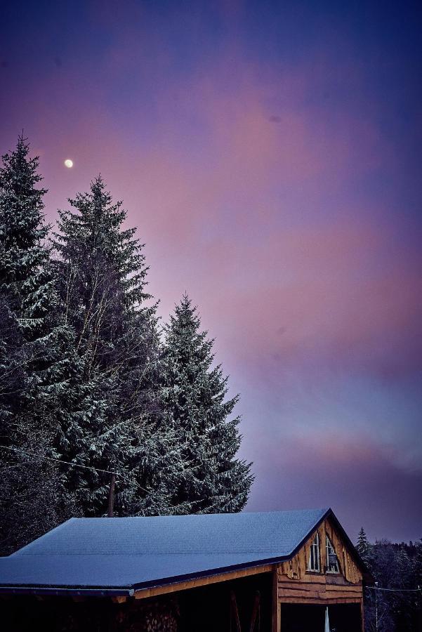 Blickinsfreie - Cabin Schöneck Buitenkant foto